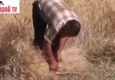 GERGERLI HASAN DA TAM 30 DAKKIKA KENDI... - Adıyaman Ses Sanatçıları