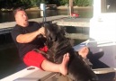 Get a BIG dog they said itll be FUN they said... Credit JukinVideo