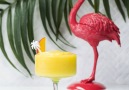 Get ready for summer with this delicious Frozen Mango Cooler