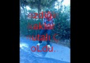 GezDiğiiz SoKaKLaR Bizi uNuTaLı ÇoK oLDu....