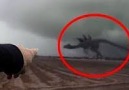 5 Giant Creatures Caught on Camera Credit -