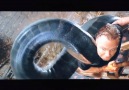 Giant Snake eating a human