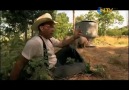 Gıda belgeseli (7)