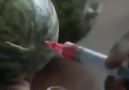 gıda terörü