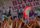 Giden kuşlar - Hozan diyar official