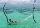 Gili Lankanfushi Se ti piace condividi!