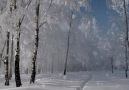 GIOVANNI MARRADI  - SnowFall