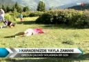 Giresun çaldagı yaylası Yaylacı