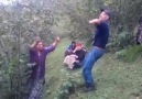 Giresunda Fındık dediğin böyle toplanır...)))