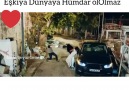 Giresunun içinde vuruldum düştüm yere