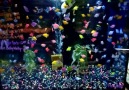 Glofish Tetra, Glofish Danio and Balloon Belly Molly's!