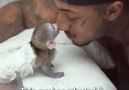 Go Animals - Man Adopts Adorable Baby Monkey. Facebook