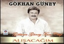 Gökhan Güney / Alışacağım (Akbaş CD)