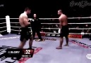 Gökhan Saki >2015> Son Mohikan ''TURKISH TYSON''>New.