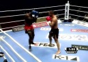 Gökhan "The Rebel" Saki Highlight