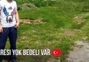 Göksun Türkeş