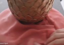 Golden Dragon Egg Cake By Rosies Dessert Spot