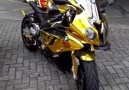 Gold s1000rr