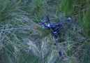 Golf Topuyla Drone Düşüren Kız