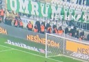 Gol yersek s*kerim belanızı