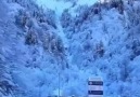 Gönlü o kadar güzel ve tenhaydı ki!Ses... - Papatya Kokulu Szler