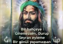 Gönülden bağlıyım aşk ile pire - Hz Ali&sözleri