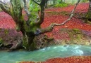 Gorbea Natural Park In Spain