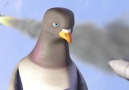 Görevimiz Güvercin - Komedi Kısa Animasyon