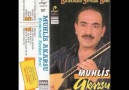 Göreydim- Muhlis Akarsu <Eski Türküler>