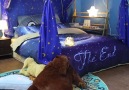 Gorgeous - Art of bedroom decoration Facebook