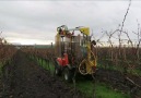 Gorgeous grape pruning machine