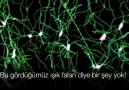 Görüyorum dedikleriniziçi kapkara olan beynimizin neresindenasıl varlar