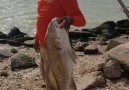 Gotta love the sound of the drums! ... - Boca Chica Beach Legends