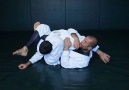 Gracie University -