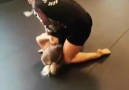 Grappling Kingdom - Texas Nogi Training camp Facebook