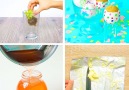 Great tricks to recycle nearly anything around you.bit.ly2kO1pgE