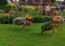 Great Wonders - Miracle Garden Dubai Facebook