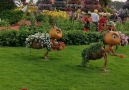 Great Wonders - Miracle Garden Dubai Facebook