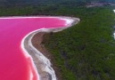 Great Wonders - Pink Lake in Australia Facebook