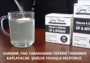 Green Farma Fibersol(Diyet Lifi)