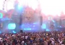 Green Velvets insane set at Tomorrowland!!