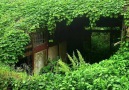 Green Village in China