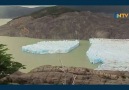 Gri Buzuldan büyük bir parça koptu (1990lı yıllardan bu yana ilk kez)