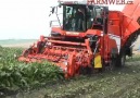 Grimme Maxtron