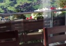 Grindelwald Switzerland. Video by Switzerland.Hotels