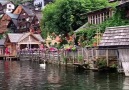 Groupe public UNILAD Adventure Community Facebook