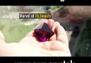 Grow Your Own Crystals