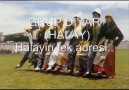 grup diyar halaylar