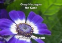 Grup Hacegan - Ne Çare