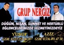 grup nergiz [segvi]